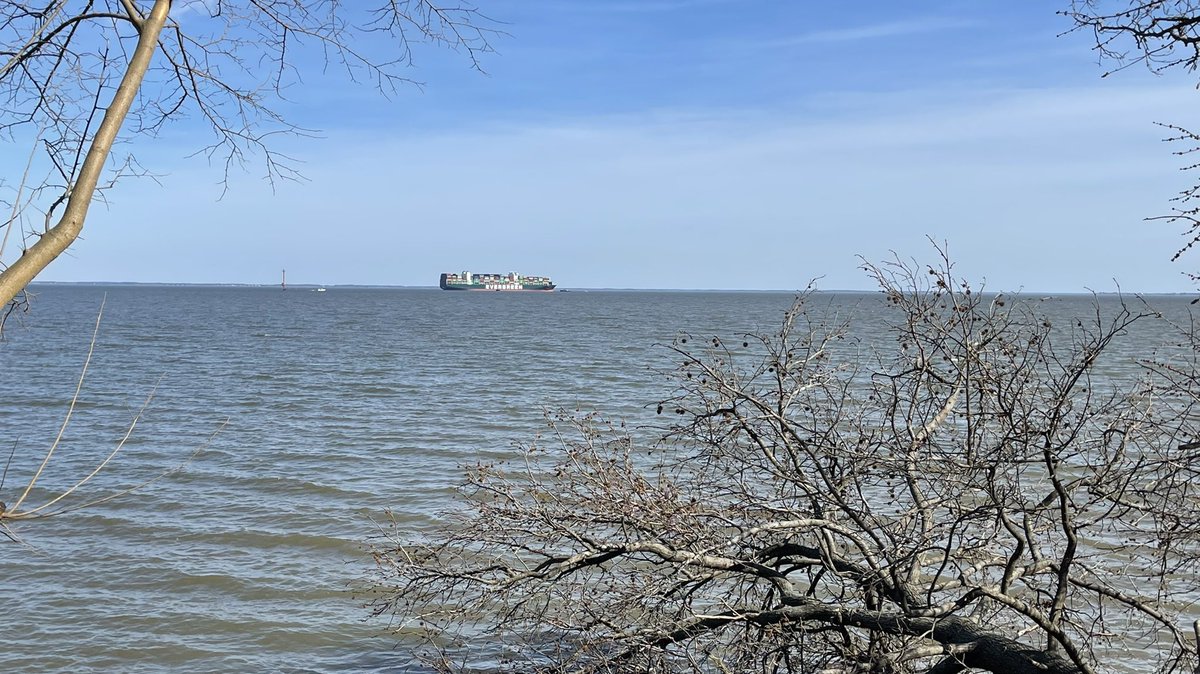 A joint effort is underway between @MoranTug & @McAllisterTugs to free the Evergreen Ever Forward which ran aground last night in the Chesapeake Bay, Craighill Channel - adjacent to Gibson Island. Shipping traffic appears to be unaffected