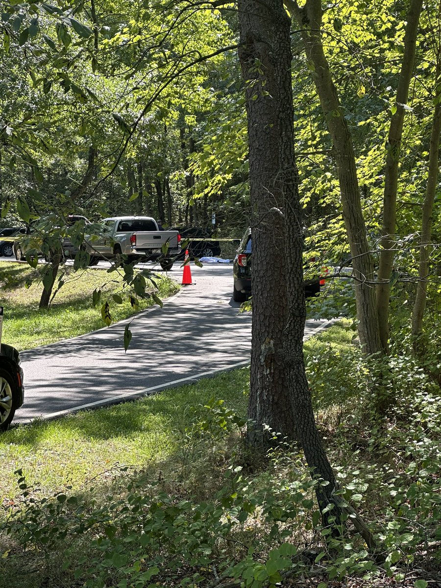 STABBING IN @NatlParkService FEDERAL PARK: Per court papers, the victim AND suspect were contractors through a private company for the National Park Services around Maryland. 38 year-old Jeffrey Strong was stabbed to death by his coworker, 63. A man is dead and  a suspect is in custody in Greenbelt National Park after being found suffering from trauma to the body. 