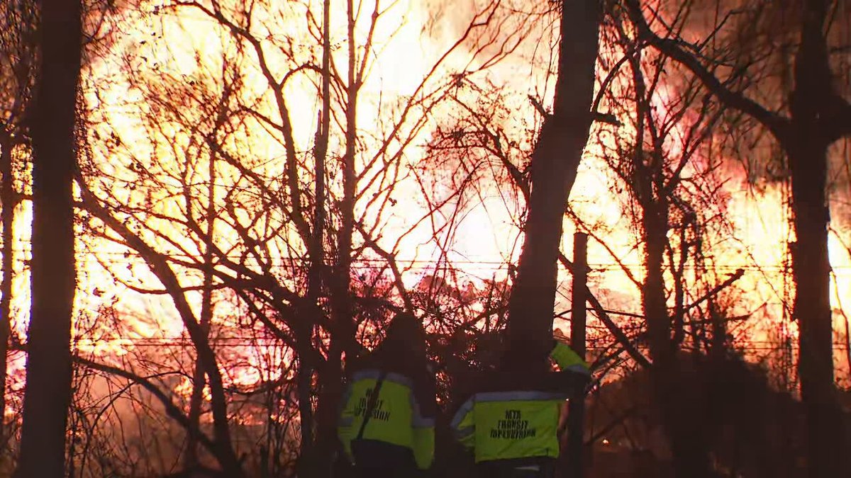 A large brush fire is ablaze in Woodberry as fire crews attempt to put it out.