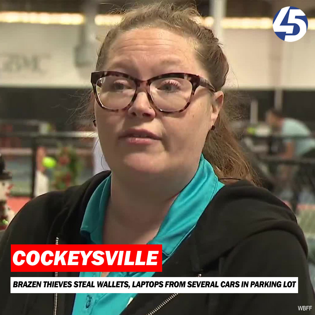 Baltimore County police are investigating a series of car break-ins with at least 10 victims targeted in a Cockeysville parking lot on Railroad Avenue near York Road.The incidents happened Tuesday evening, with thieves stealing items such as wallets and laptops from vehicles