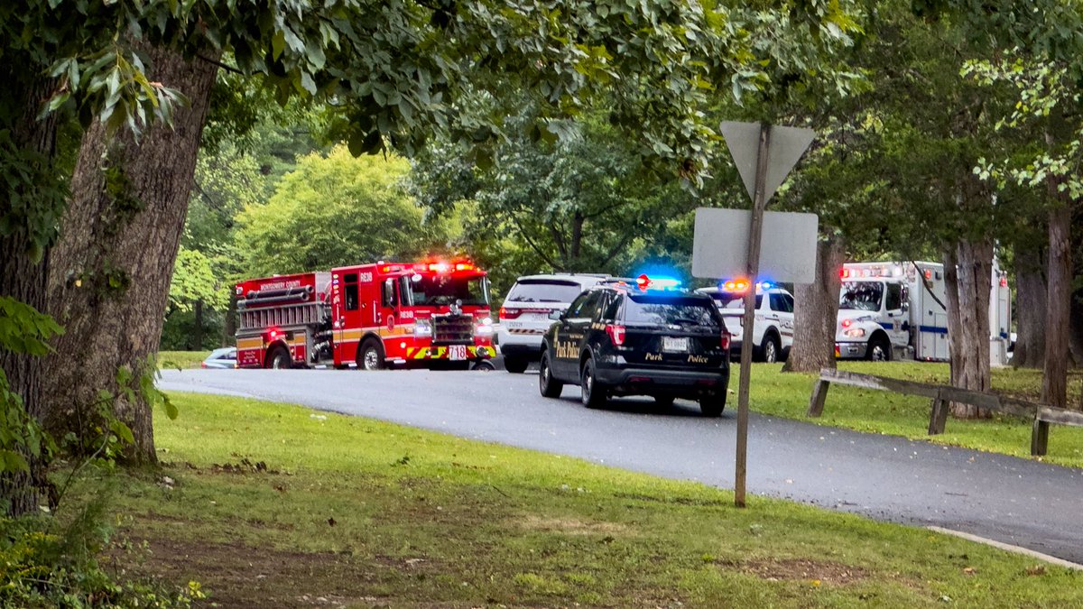 Silver Spring, MD  reported pedestrian struck in the 2000 blk of Shorefield Rd.